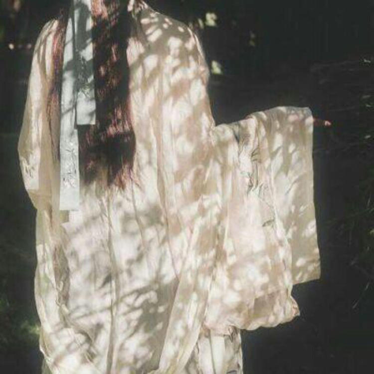 香川照之（饰 武田观柳） - 动作大片蓝光在线观看 - 网络直播